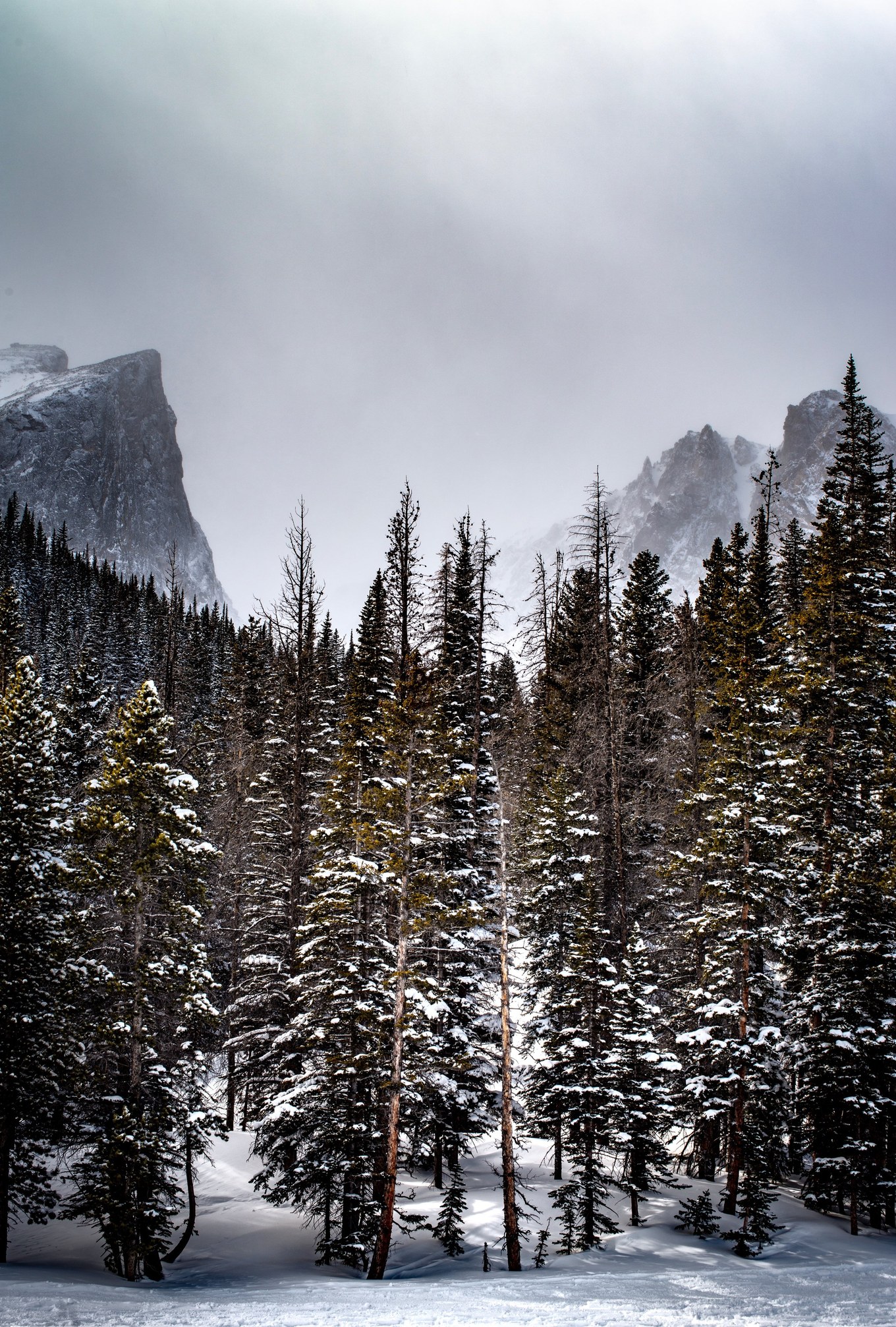 A snowstorm roaring through a mountain pass, whirls of white cutting across fierce peaks.